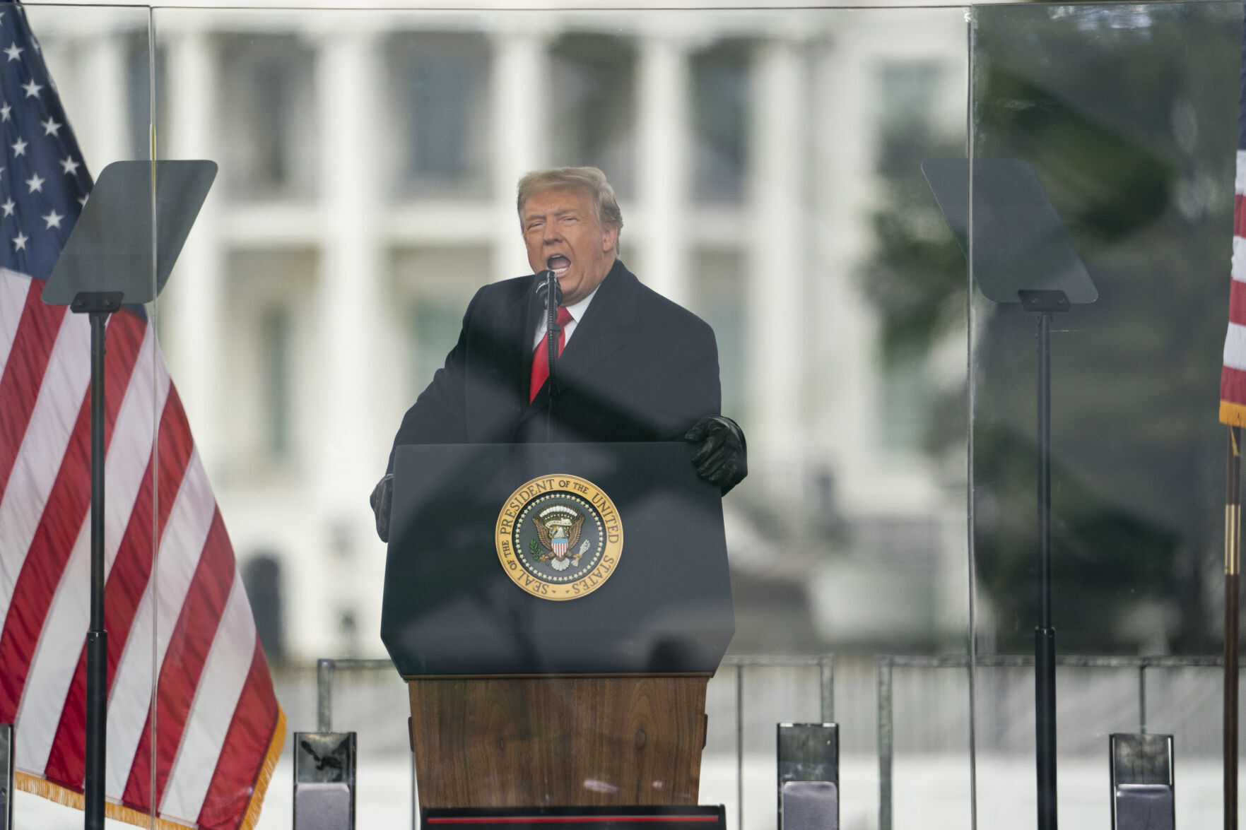 Everything but Trump